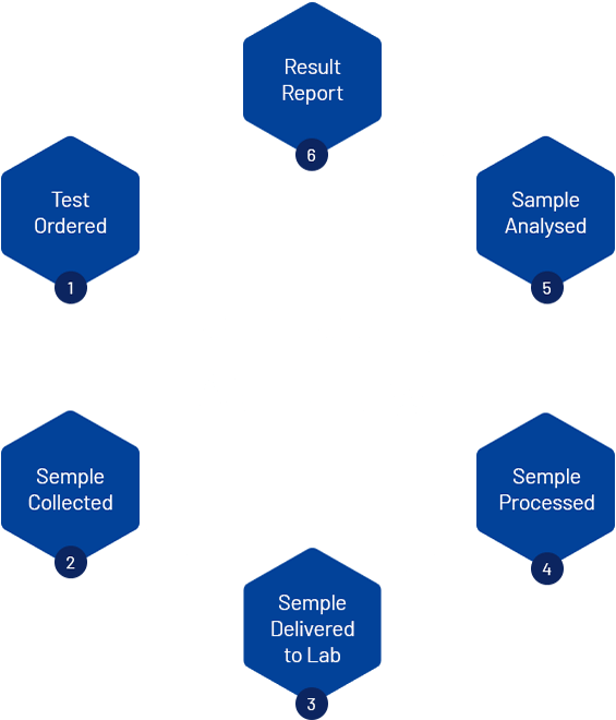 [Contact Us Lab 247] Best lab Call Us Now (04) 252 2438 affable
